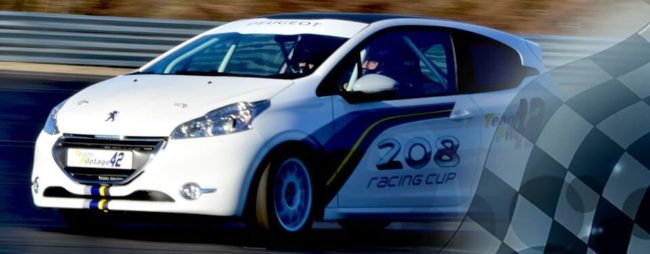 Stage pilotage 208 RC