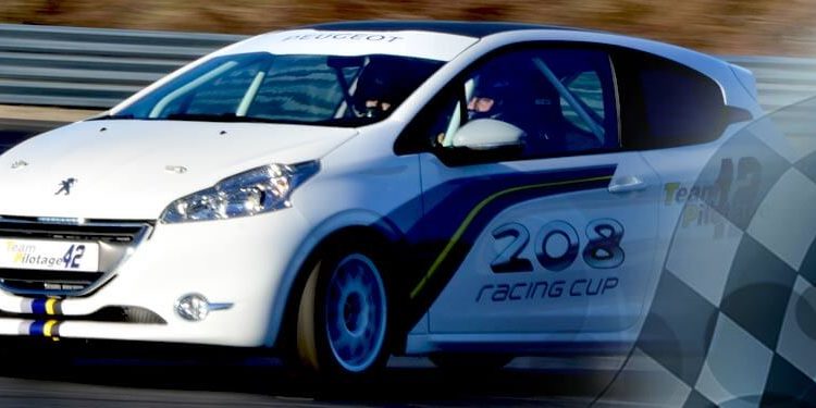 Stage pilotage 208 RC Stage pilotage 208 RC