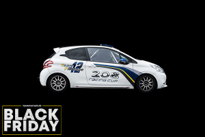 Cours Particulier en 208 Racing Cup