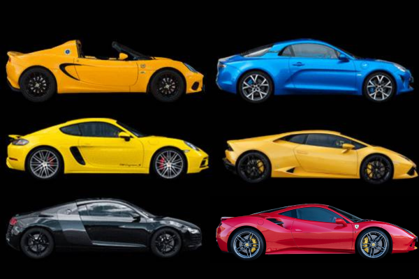 MULTIVOLANTS GT